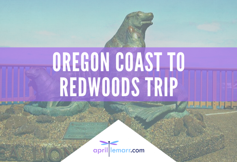 Oregon Coast To Redwoods Trip