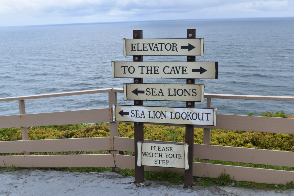 Oregon Sea Lion Cave