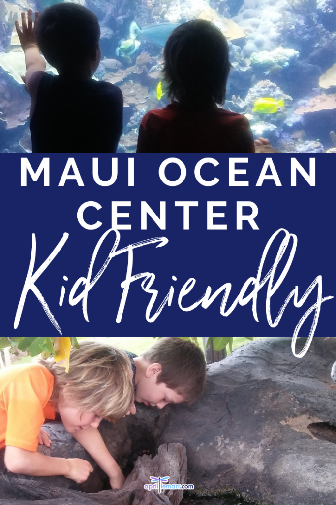 Maui-Ocean-Center-PIN